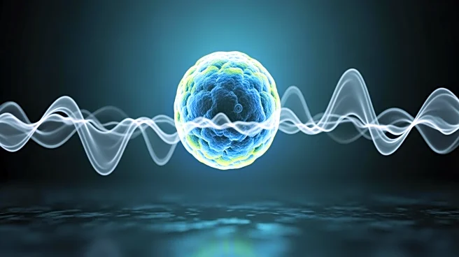 Nanotherapy Induces Metabolic Reprogramming in ALS Ependymal Stem Cells