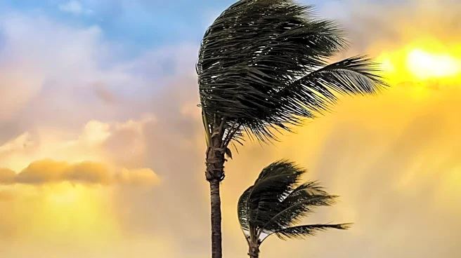 South Florida Anticipates Mostly Dry Weekend with Minimal Rain Chances