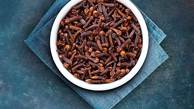 University of Virginia Confirms First Fatality from Tick-Spread Meat Allergy in New Jersey