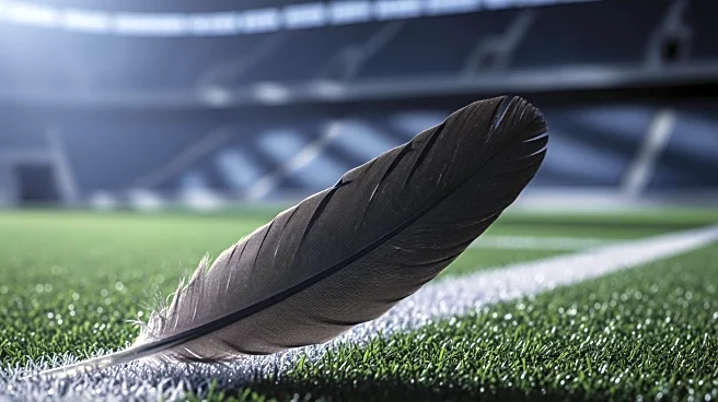 Baltimore Ravens Surge in AFC Playoff Race with Renewed Confidence