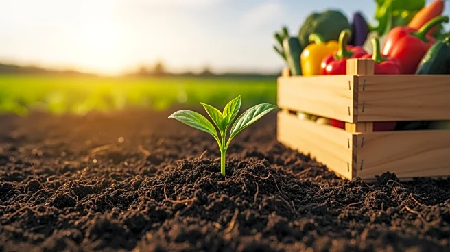 EIB Global and ZICB Mobilize €30 Million for Zambia's Agriculture Sector