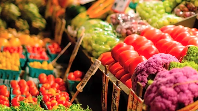 Meadow Lane Gourmet Grocery Store Opens in Tribeca, Attracting Enthusiastic Crowds