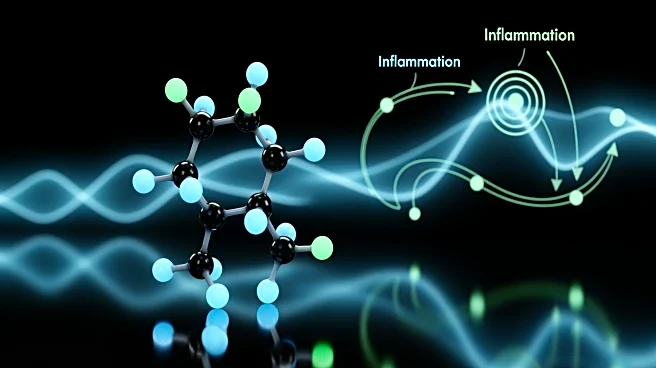 Shaperon Showcases GPCR19-Targeted Drug Development at Inflammasome Summit, Advancing Inflammatory Disease Therapies
