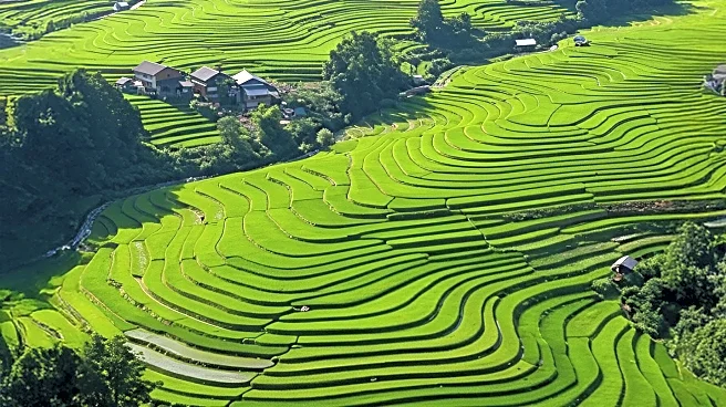 Eastwind Hotel Expands with New Mountain House and Restaurant Concept, Dandies