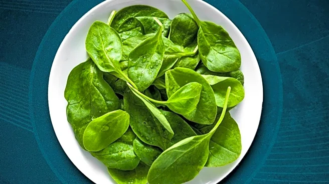 CNET Highlights Essential Foods for Muscle Building in 2026