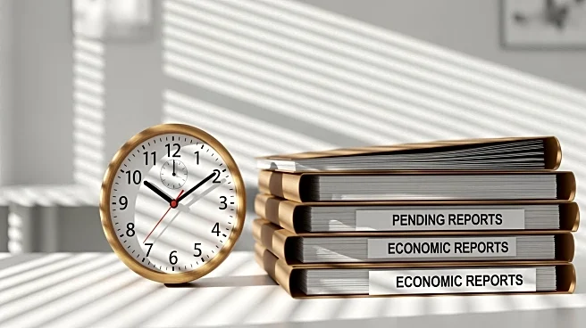 Economic Data Delays Persist Despite Government Reopening