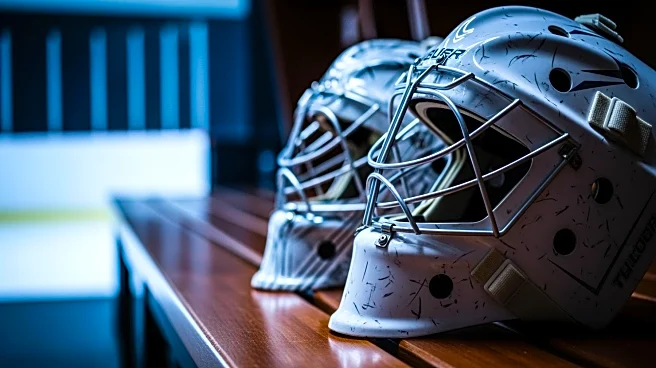 NHL Now Discusses Concerns for Toronto Maple Leafs and Canadiens' Goaltending