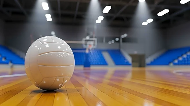 Texas High School Volleyball Playoffs: Semifinals Set to Determine State Champions
