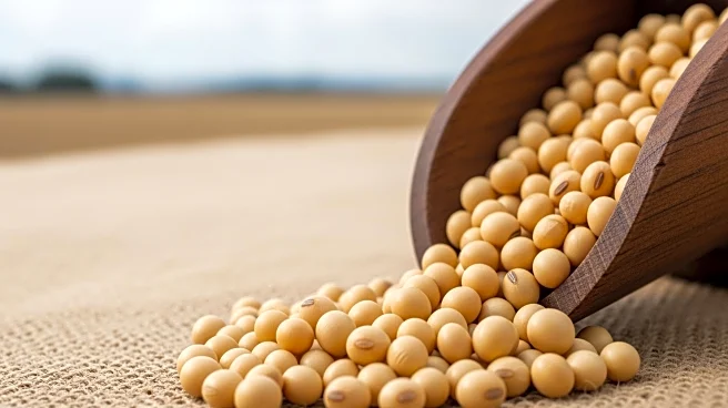 USDA Data Challenges Trump's Claims on China's Soybean Purchases