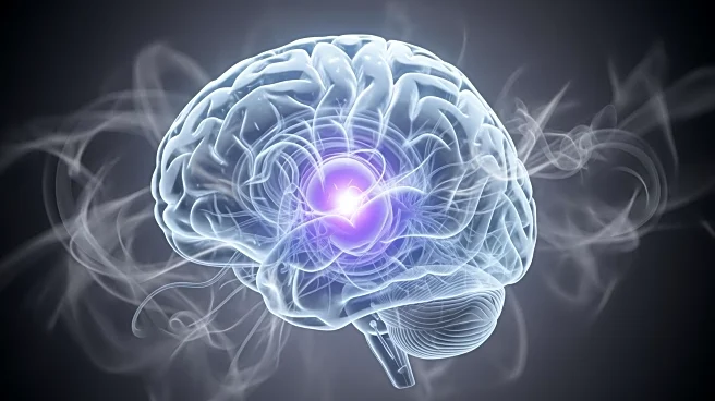 Neurologist Discusses 'Brain Rot' and Its Impact on Memory and Behavior