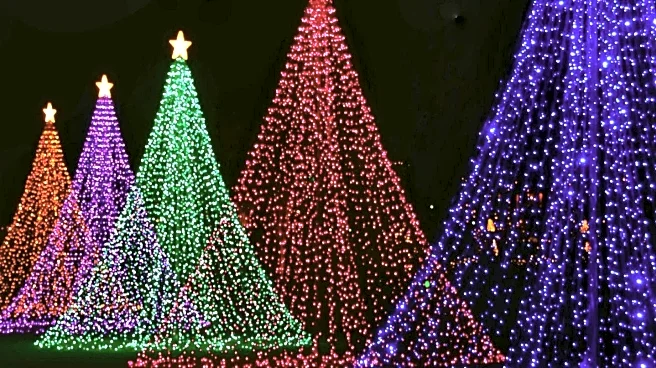 Soham Couple's Christmas Light Display Raises Over £67K for Charity