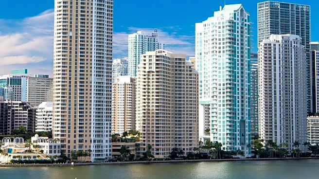 Miami Animal Rescue Receives Over $35,000 in Donations Amid Financial Struggles