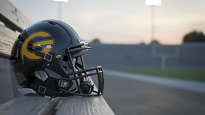 Steelers' Trade Involving Minkah Fitzpatrick Results in Underwhelming Performance