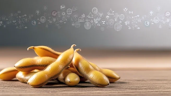 USDA Data Challenges China's Soybean Purchase Promises Amid Trade Tensions