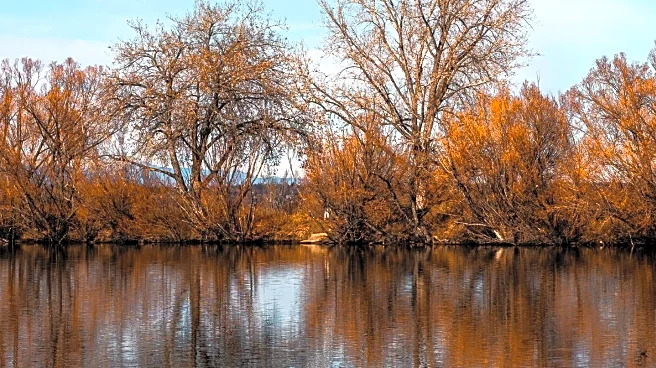 Westways Features Editor Highlights Redding as Ideal Winter Destination