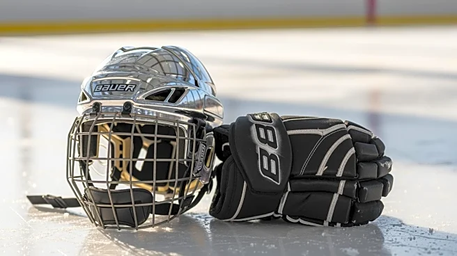 Filip Forsberg Donates Equipment to Leksands IF Youth Hockey During NHL Global Series