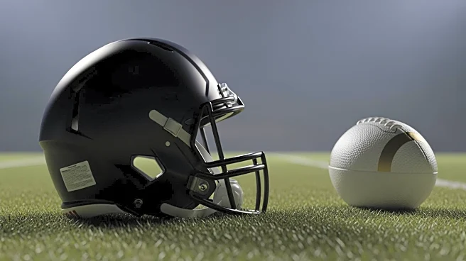 Navy Quarterback Blake Horvath Exits Game Due to Injury Against USF