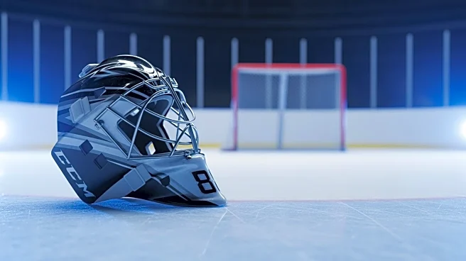 Jordan Binnington to Guard Goal for St. Louis Blues Against Flyers