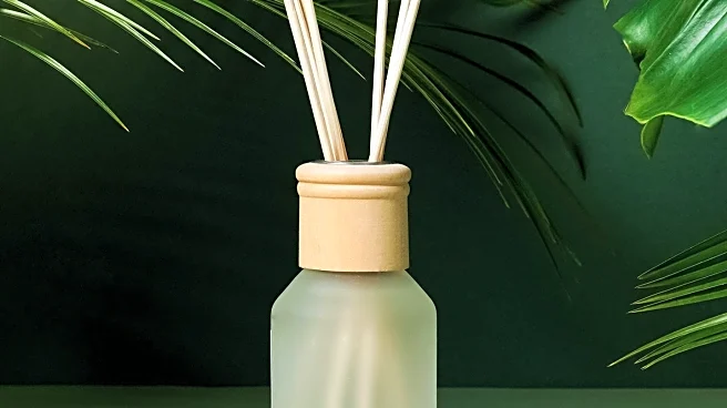 Star Wars-Themed Diffusers Offered at Discounted Prices for Black Friday