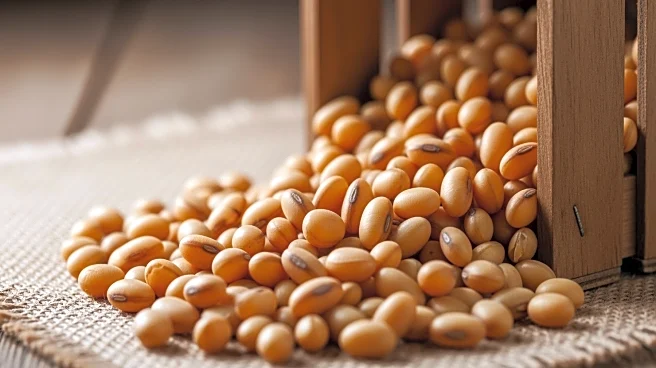 USDA Data Challenges President Trump's Claims on China's Soybean Purchases