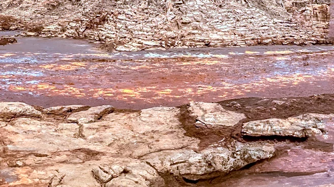 Africa CDC Confirms Marburg Virus Outbreak in Ethiopia, Enhancing Regional Health Preparedness