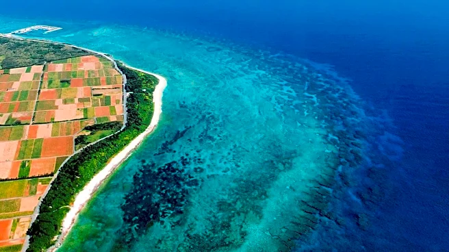 Travel Blogger Considers Expensive Flight on Air Côte d’Ivoire Amid Pricing Concerns