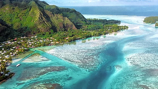 Gayatri Reksodihardjo-Lilley Transforms Coastal Villages Through Reef Conservation