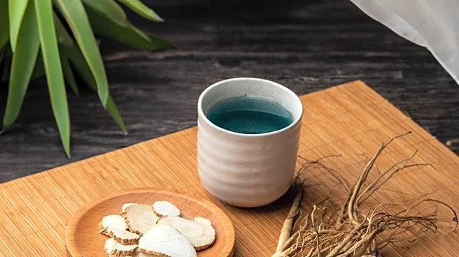 Alternative Treatments for Menopause Symptoms Explored Beyond Hormone Therapy