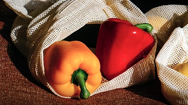 CNET Tests Produce Storage Bags: Linen Bags Keep Produce Fresh Longest