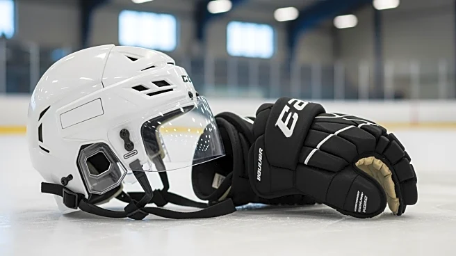 Filip Forsberg and NHLPA Donate Equipment to Leksands IF Youth Hockey