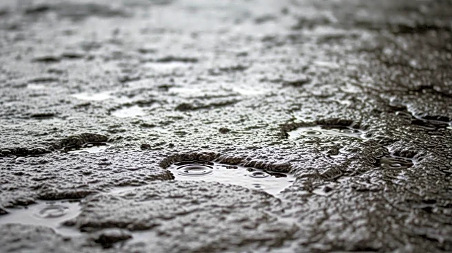 Study Reveals Impact of Heavy Rains on Mortality Rates in Mumbai Slums