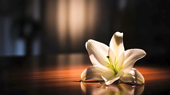 Tony-winning Actress Elizabeth Franz Passes Away at 84 Due to Cancer