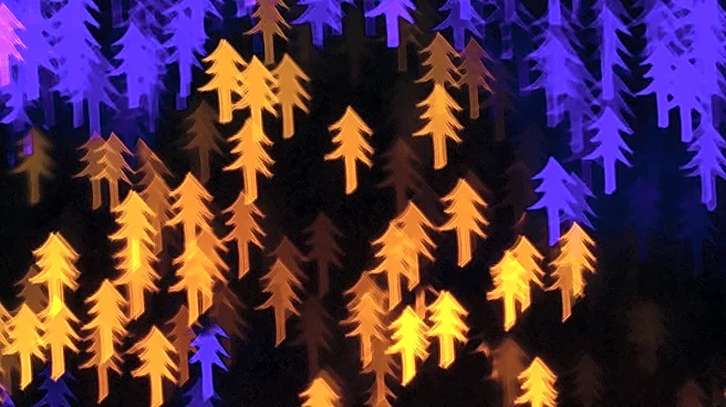 Naperville Prepares for Festive Holiday Events with Naper Lights and More