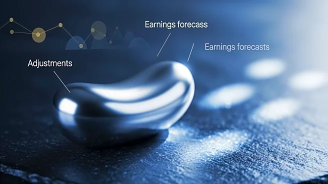 B. Riley Adjusts Q2 Earnings Forecast for Endeavour Silver