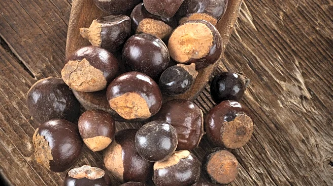 Nutritional Experts Highlight Selenium's Role in Health and Deficiency Risks