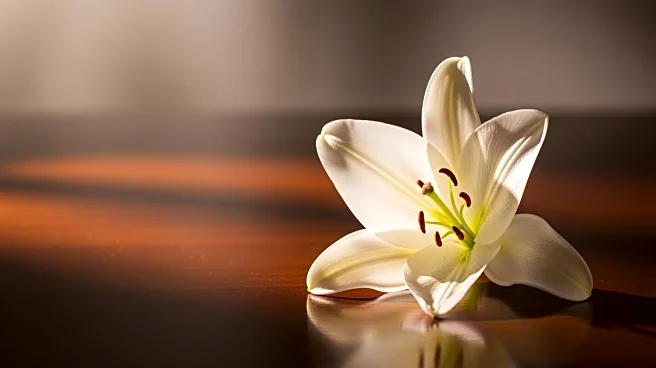 Elizabeth Franz, Tony-winning Actress, Passes Away at 84 Due to Cancer