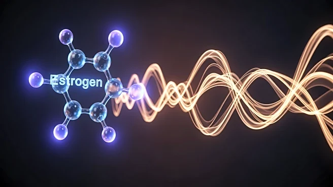 NYU Researchers Uncover Estrogen's Role in Enhancing Dopamine and Learning