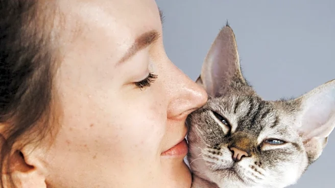 Study Suggests Cat Ownership May Increase Risk of Schizophrenia-Related Disorders