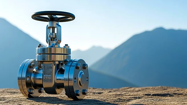 Ukraine Secures Gas Import Deal with Greece Amid Defense Talks