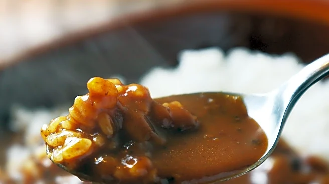 Japan House Hosts Workshop on Japanese Curry, Highlighting Cultural and Culinary Significance