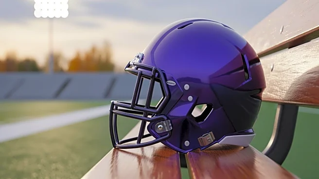 Baltimore Ravens' Zay Flowers Faces Quiet Start in Week 11 Against Browns