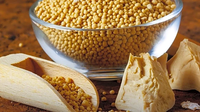 Engineered Yeast Strain Shows Promise in Mitigating Alzheimer's Phenotypes