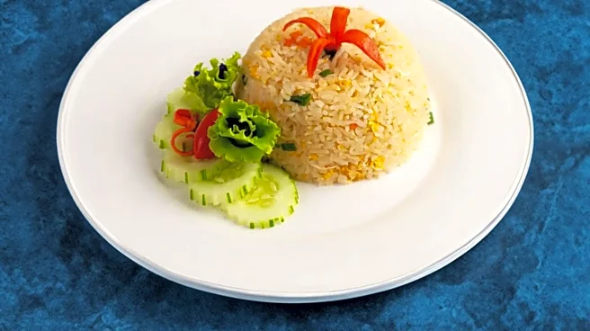 Chef in New York Sells Fried Rice from Car Trunk, Gains Popularity