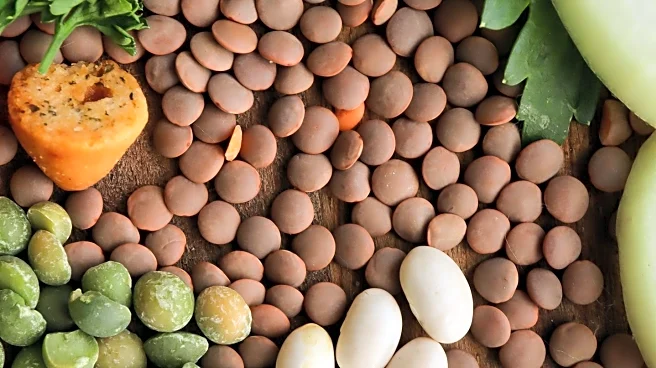 Study Finds Plant-Based Diet Can Prevent and Reverse Heart Disease in Hypertensive Rats