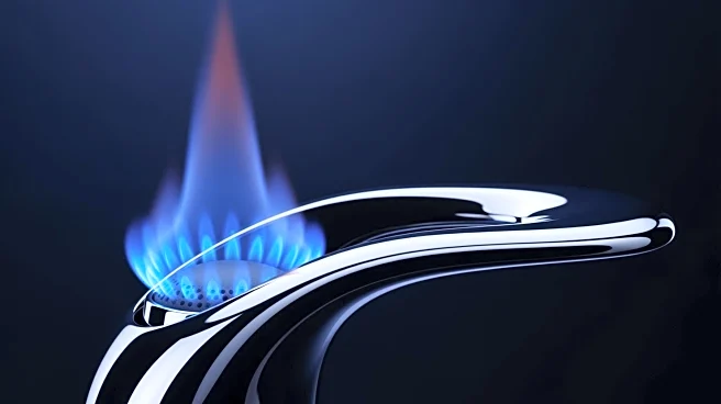 ADNOC Gas Achieves Record Q3 Earnings Amid Strong Domestic Performance