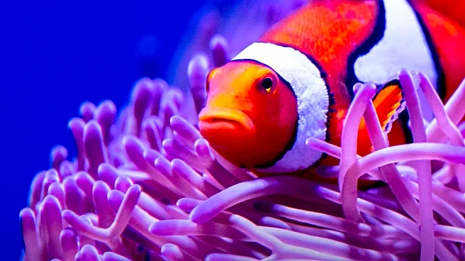 Research Explores Microbiota Transplants and Their Impact on Host-Microbe Interactions