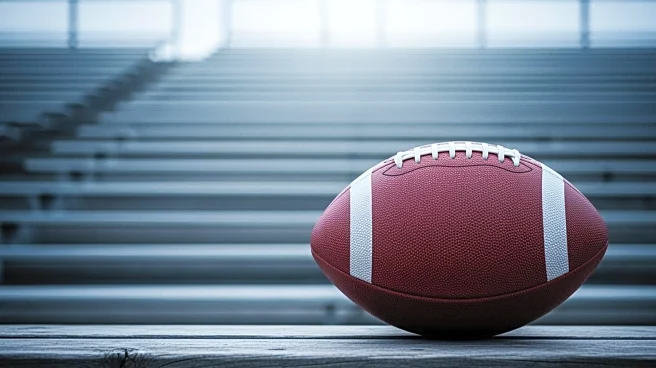 NCAA Division III Football Playoffs 2025: North Central's Dominance and Mount Union's Challenge