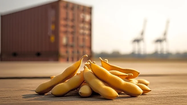 President Trump's Tariffs Impact U.S. Soybean Exports to China