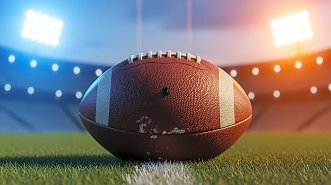 Chicago Bears Secure Victory Against Minnesota Vikings in Week 11