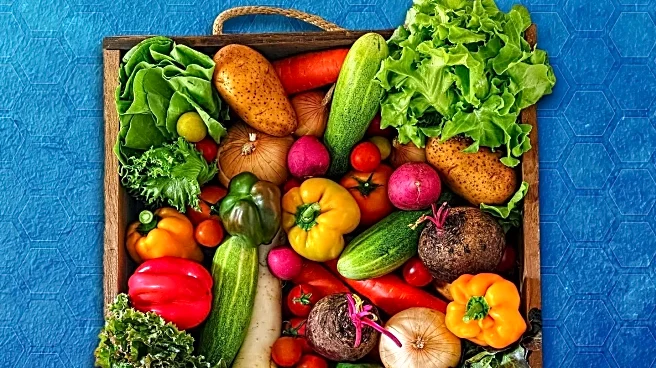 Dietitian Develops Anti-Inflammatory Meal Plan to Support Health